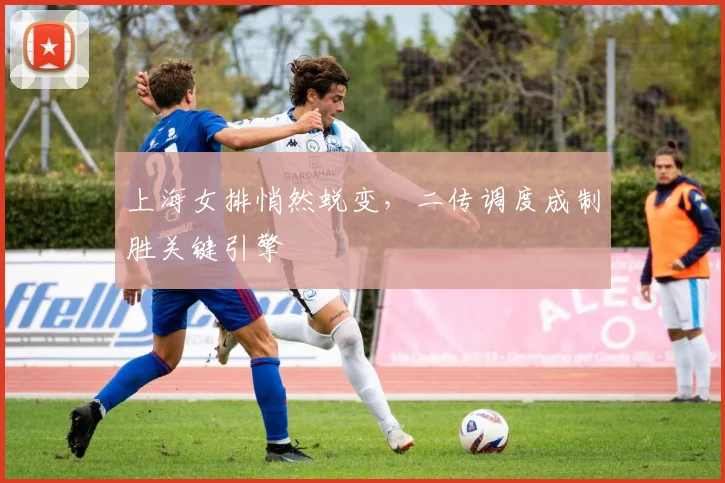 上海女排悄然蜕变,二传调度成制胜关键引擎
