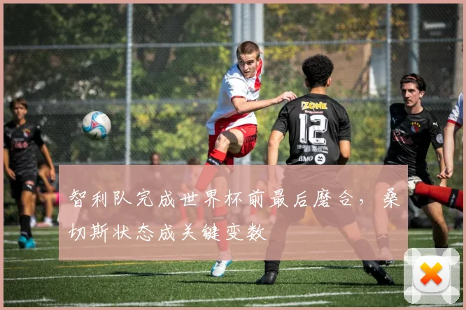 智利队完成世界杯前最后磨合，桑切斯状态成关键变数