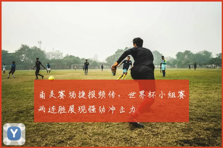 南美赛场捷报频传,世界杯小组赛两连胜展现强劲冲击力